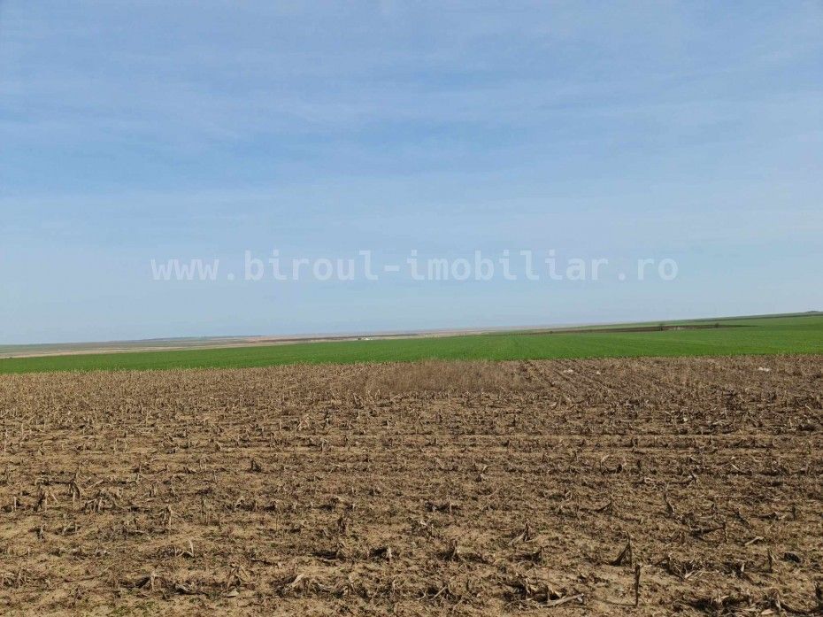 Vânzare teren agricol comasat direct la Soseaua  Istria - Sinoe - Poză 5