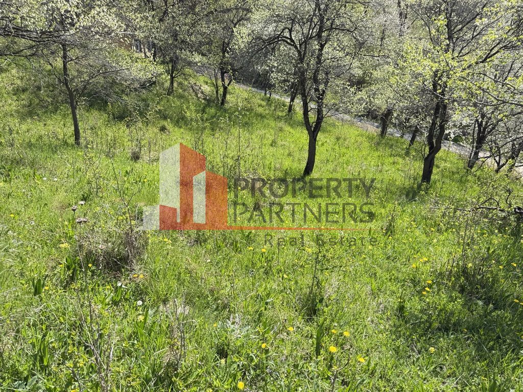 Teren 2500 mp Sohodol - Poză 16