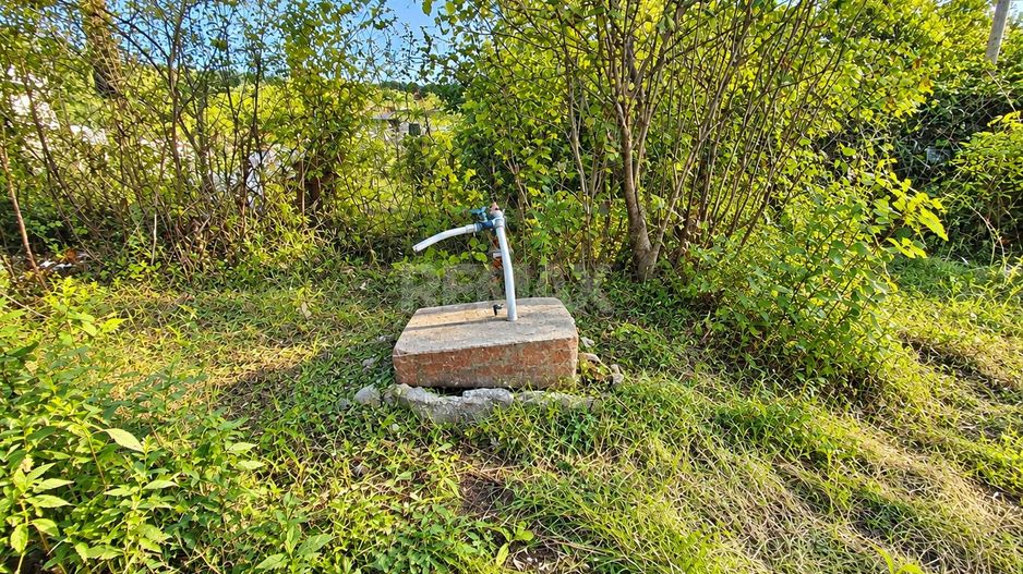 LOT POMICOL DE VÂNZARE – 5,7 ARI | IALOVENI  Î.P. „Floare-Carpet - Poză 7