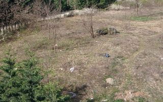 Apartament 2 camere cu grădină proprie de 50 mp - Poză 9