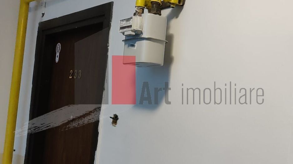 Apartament 3 camere Piața Gorjului - Poză 11