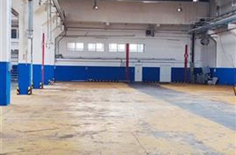 hale in parcul Roman sau tractorul - Poză 1