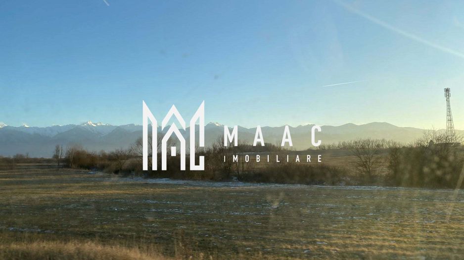 O minune la munte I Casei de la Marginea Satului - Poză 5