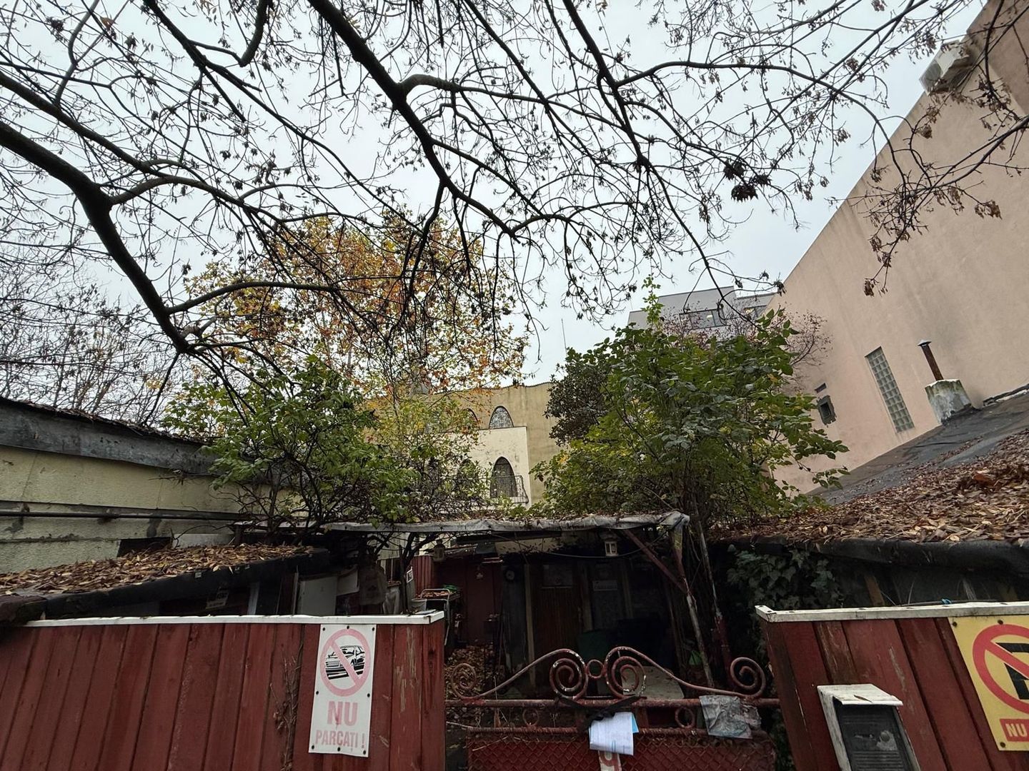 Teren Herastrau - Poză 2