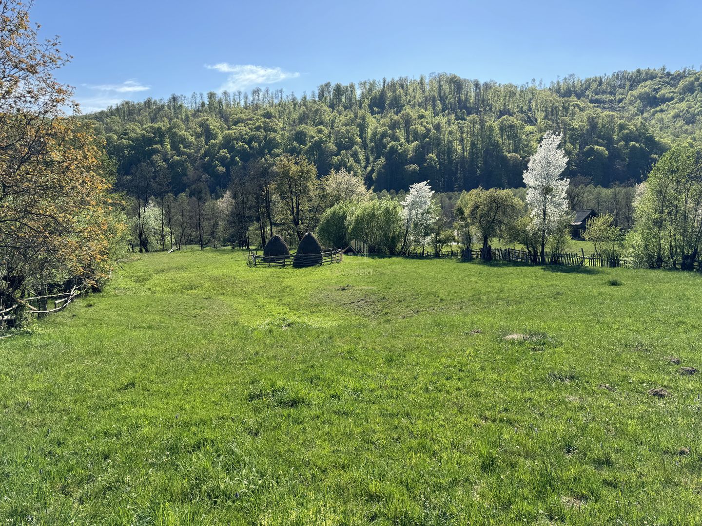 TEREN INTRAVILAN 2592 MP,  ALBESTI DE MUSCEL, ARGES - Poză 17