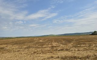 Teren intravilan– 50.000 mp, Bacău, Șoseaua Hol - Poză 5
