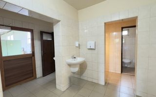 Inchiriere Clădire Producție, Depozitare, Birouri-Teren 3140 mp - Carei - Poză 8