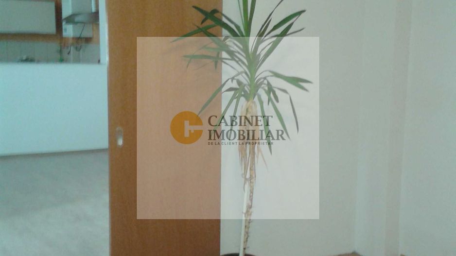 Casă 6 camere de vânzare | Zona Titulescu – Banu Manta | Sector 1 - Poză 4