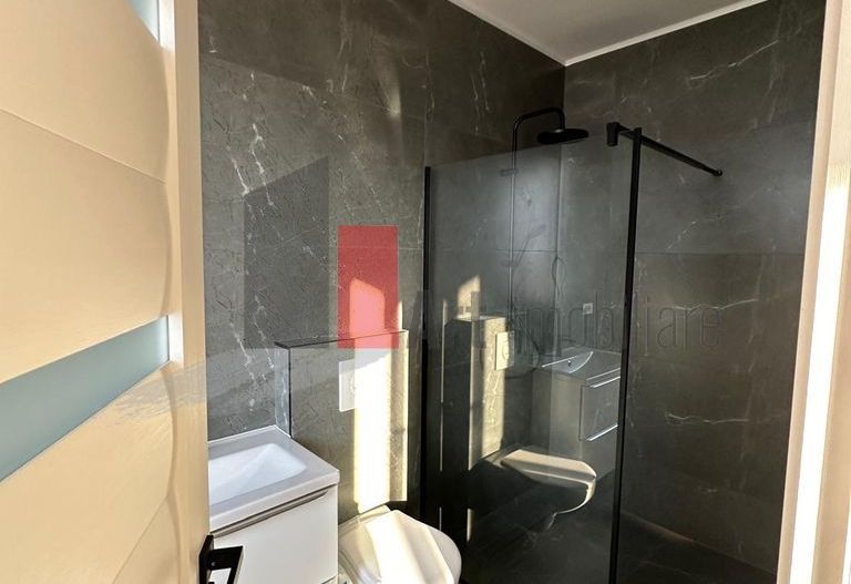 Vand Casa in Domnesti ,str Fortului - 500mp - Poză 3