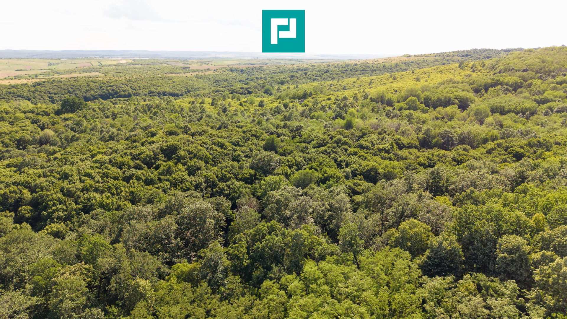 TEREN AGRICOL EXTRAVILAN  22.900 MP LIPOVA - Poză 17