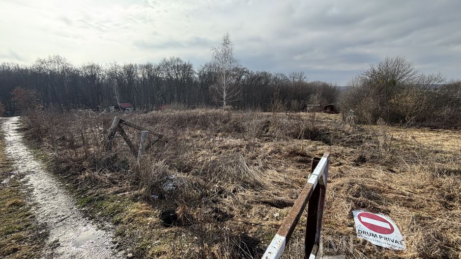 De vânzare două parcele de 3752 mp împreună- zona Făget - Poză 2