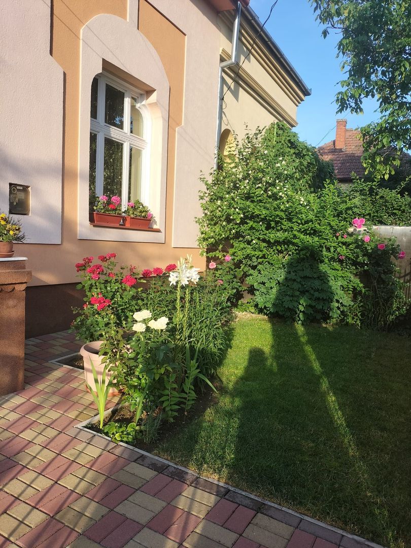 Ag EUROPA vinde casa individuala zona TITULESCU - Poză 2