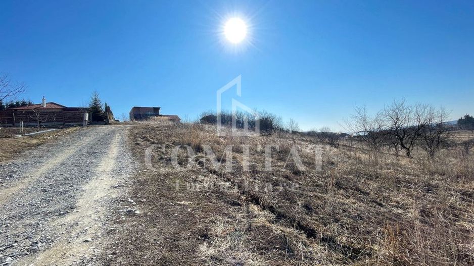 Teren cu potential de investitie 2430 mp si drum de acces - Poză 3