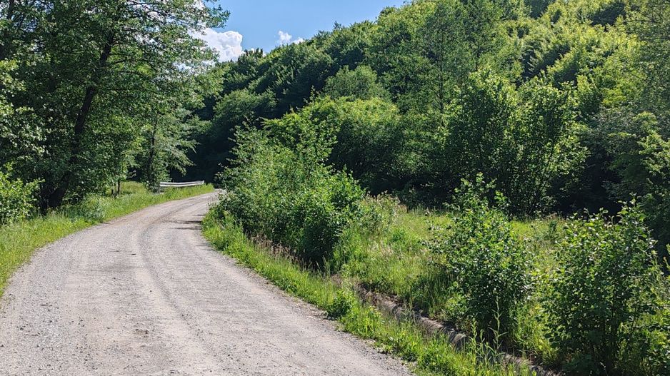 1,3 HA TEREN EXTRAVILAN FANEATA, in Muntii Apuseni, Negreni, jud. Cluj - Poză 3