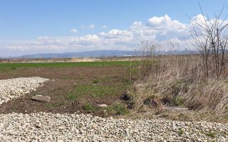 5.000 mp intravilan, parcelabil, Halchiu, Brasov - Poză 1