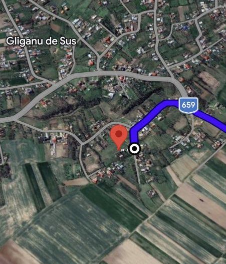 Teren intravilan 6500 mp- Gliganu de Sus - Rociu - Poză 2