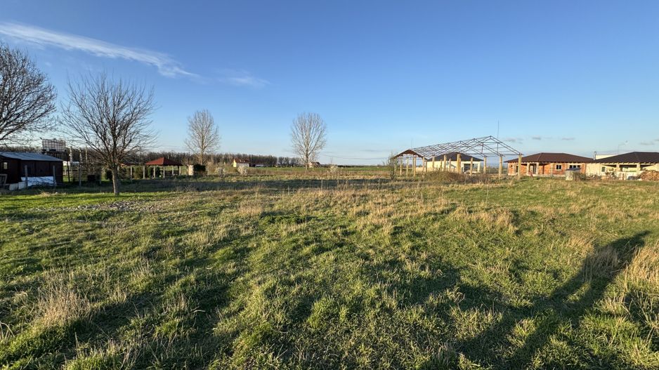 Teren intravilan, 976 mp, Alparea, Bihor 34 500 Euro. Comision 0 - Poză 6