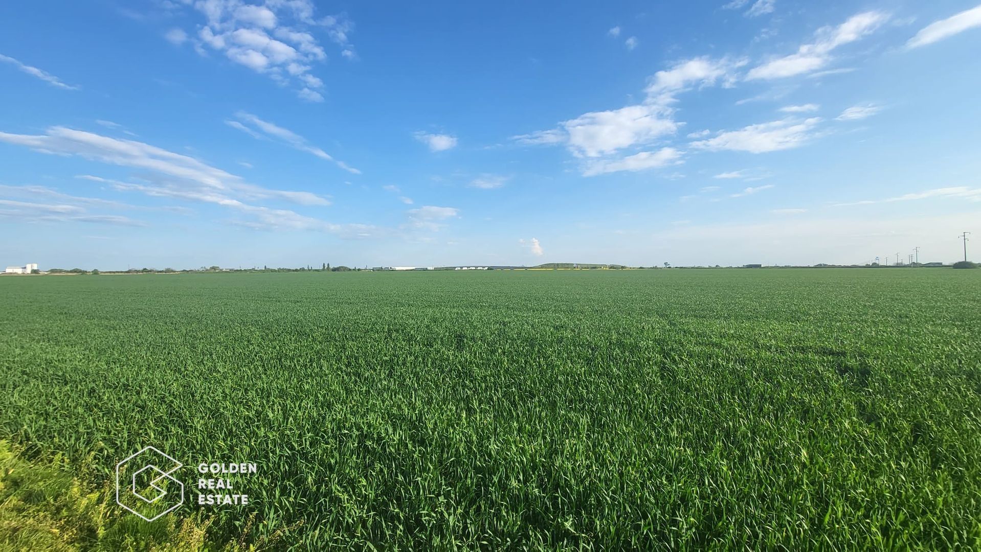 Teren arabil 10.000 mp, Calea Sagului DN 59 - Poză 2