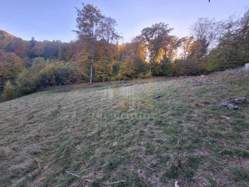 Teren intravilan Brasov Strada Ciresului 2900 mp - Poză 5