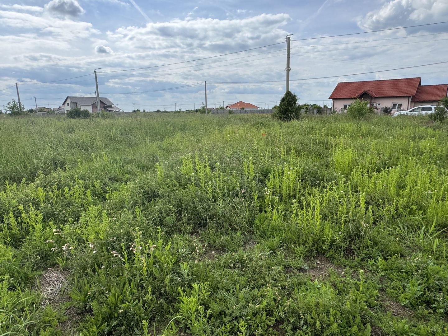 Teren Intravilan Dudestii Noi 638mp,Fs 24m,Utilitatile In Fata Parcelei,Asflat - Poză 2