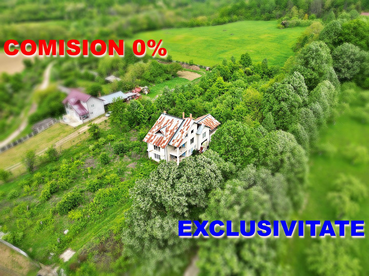 AZURA Imobiliare - Casa cu Teren Budeasa Galasesti - Poză 34