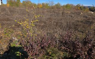 Teren intravilan, zona top, Jandarmeriei, autorizatie la zi! - Poză 5