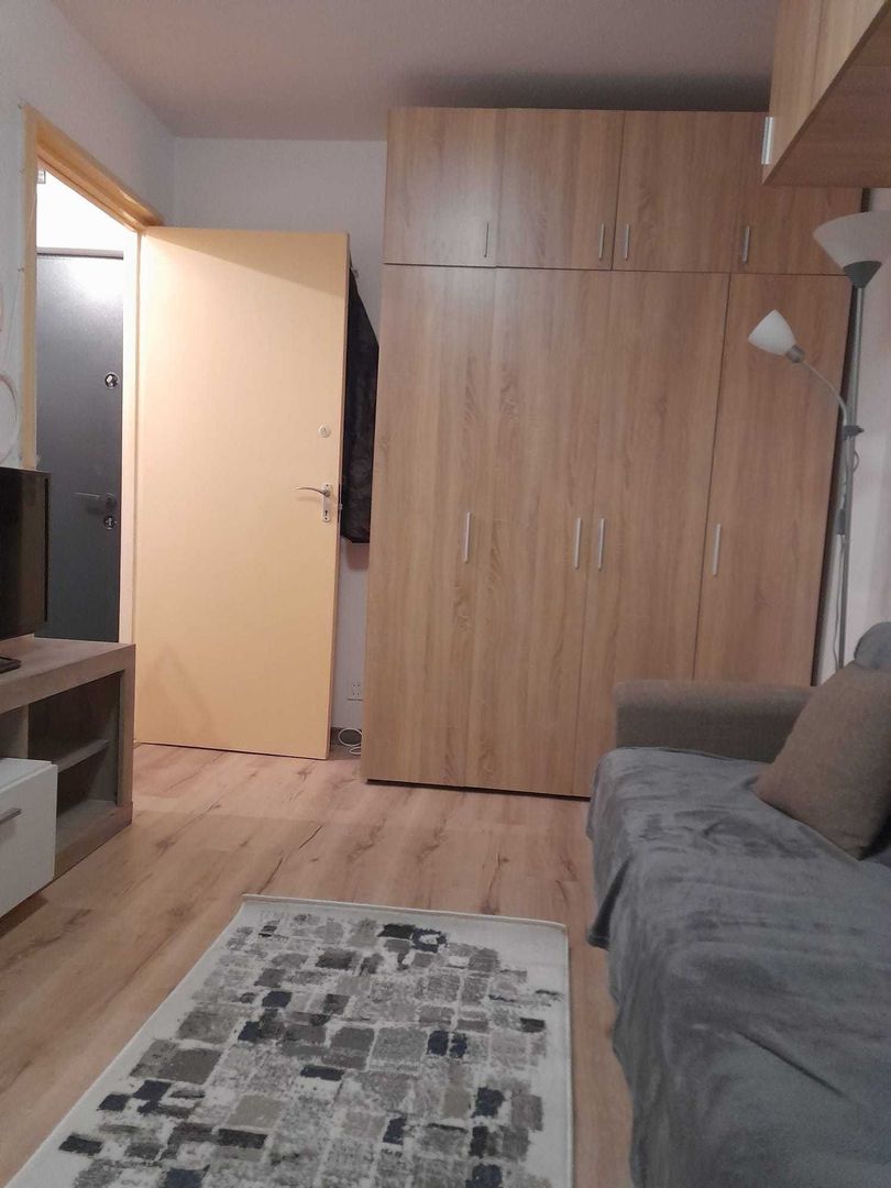 Garsoniera Crinul de Padure Parc Drumul Taberei - Poză 3