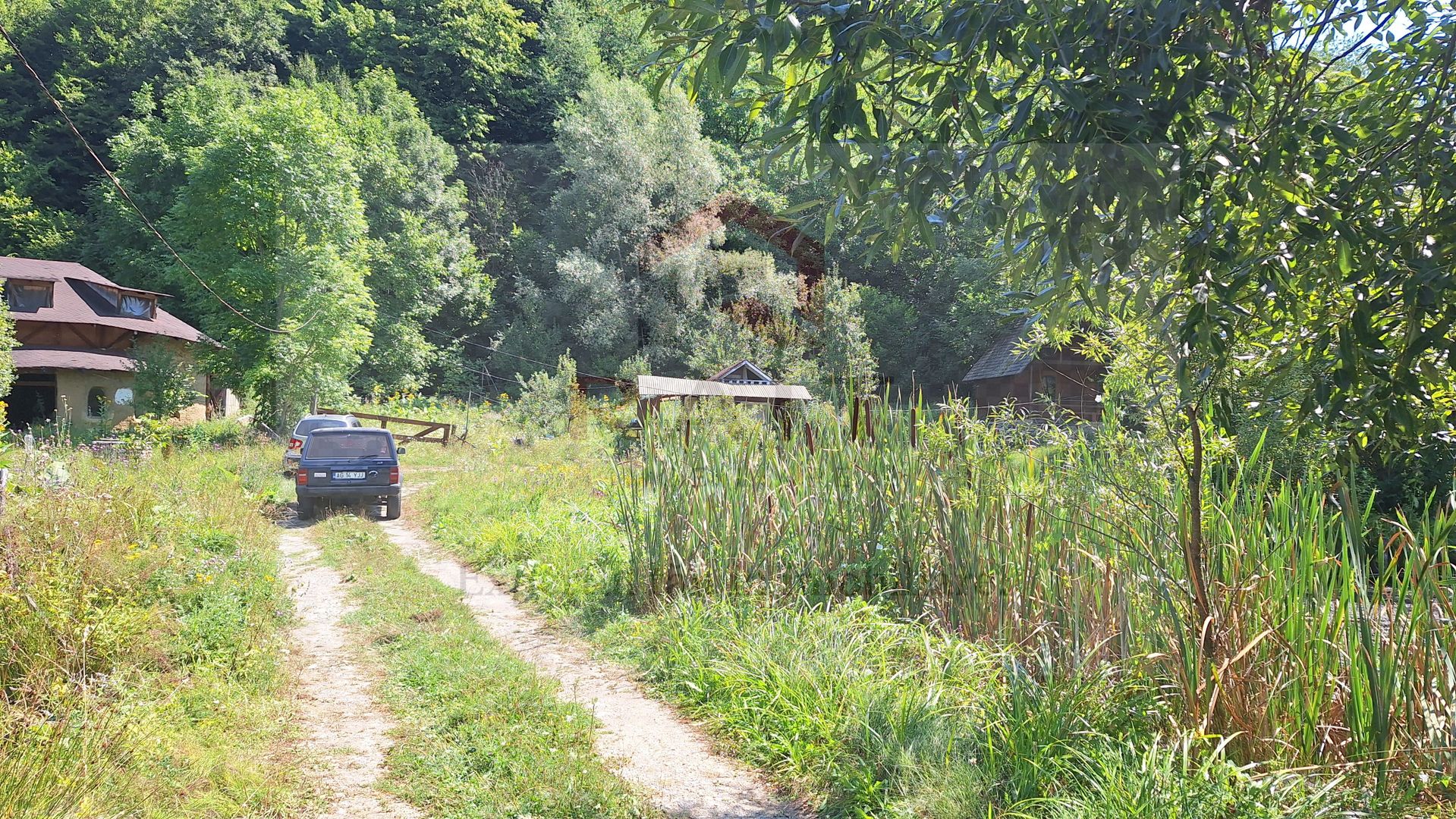 VANZARE ANSAMBLU CASUTE BRADULET ARGES - Poză 23