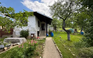 2 Case + teren 1390 mp langa parcul central Provita de Sus - Poză 34