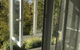 Clea  FLOREASCA - Poză 4