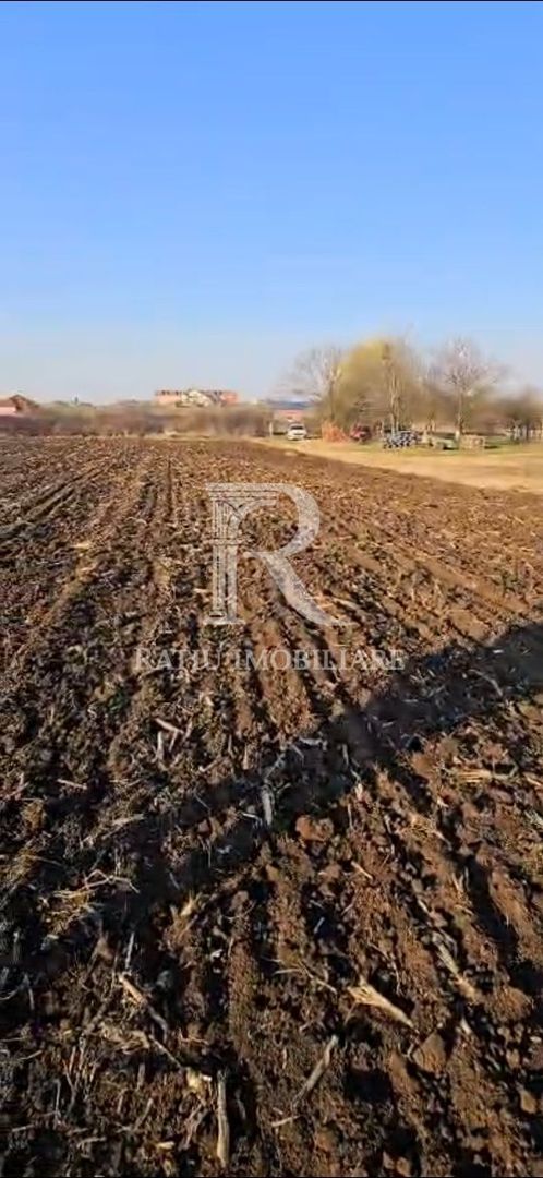 Teren Intravilan | 1780 mp | Sânmartin - Poză 7