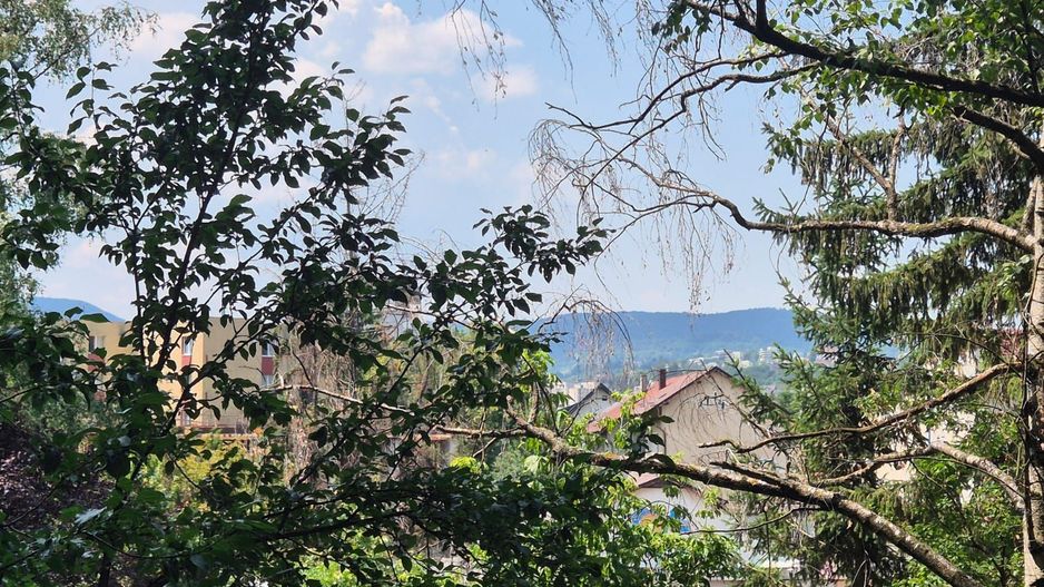 Apartament la 6 minute de gară, piata si Centru Civic, pet friendly - Poză 18