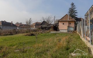 Casă spațioasă cu potențial de renovare și personalizare, în Viișoara - Poză 16