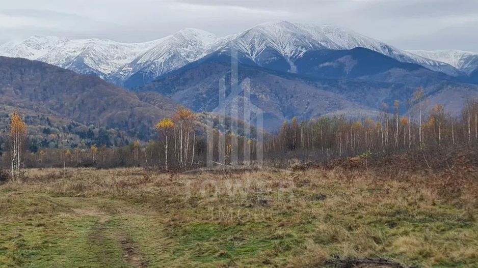 Vand teren intravilan, pentru casa de vacanta, pe Vale Avrigului - Poză 3