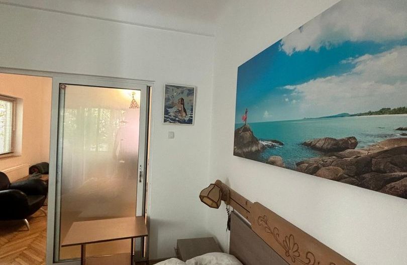 Inchiriere 2 camere ultracentral T145 - Poză 2