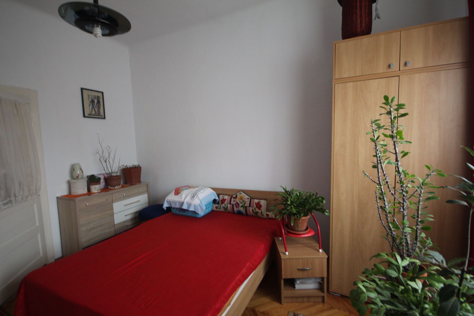 Ideala ptr o familie - Poză 2