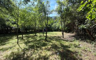 TEREN INTRAVILAN 1013 MP | UTILITĂȚI LA STRADĂ | ZONA PIATRA BROAȘTEI - Poză 3