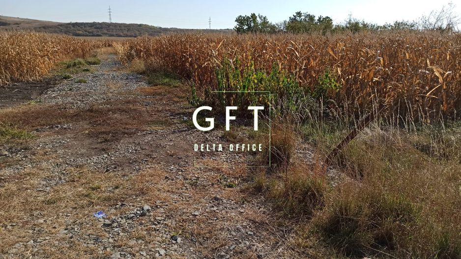 Teren intravilan 1000  mp ideal investitie Sarata - Poză 2