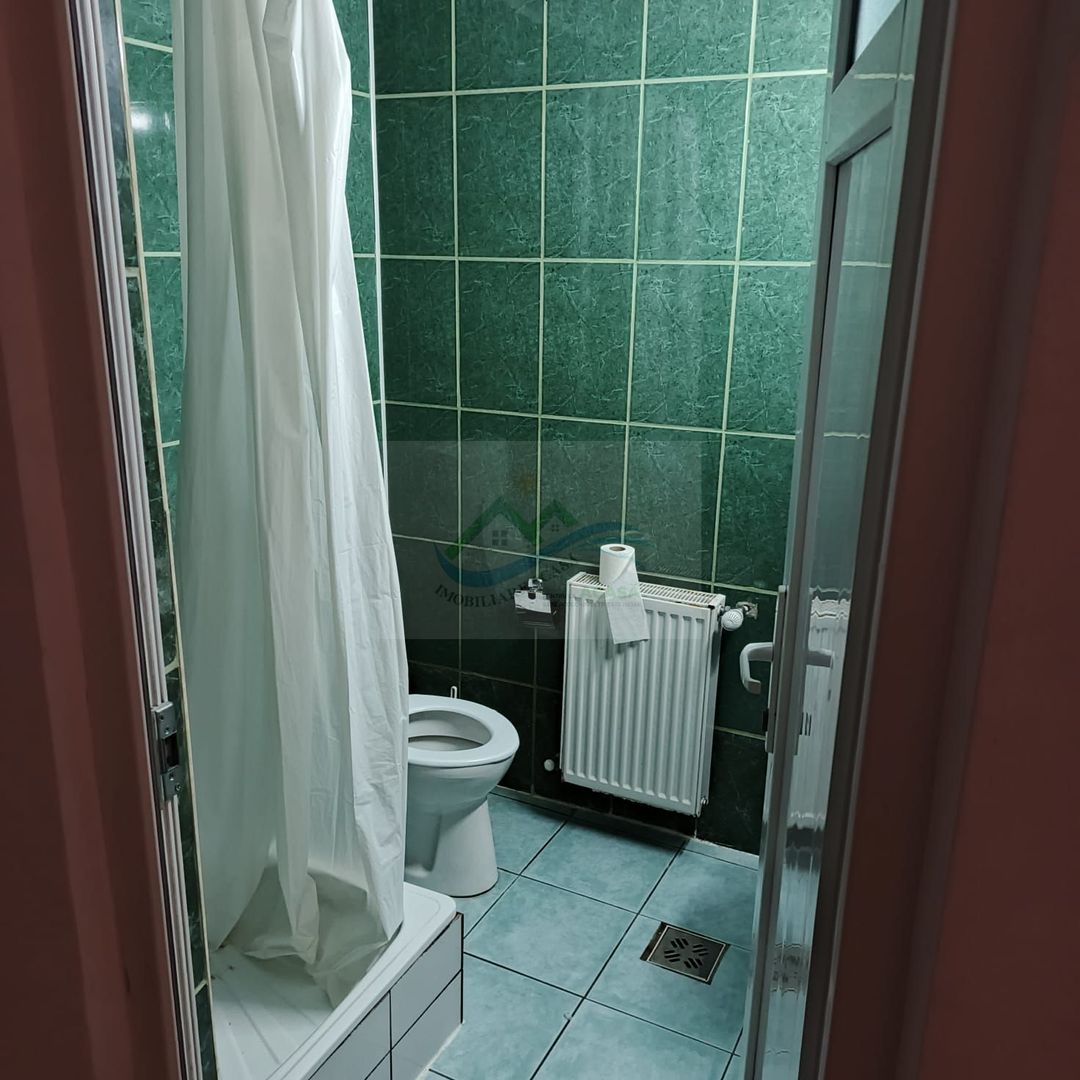 Pensiune/Unitate de cazare/Vila Burdujeni Suceava - Poză 10