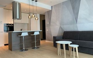 Inchiriere apartament 2 camere One Herastrau Plaza - Poză 2