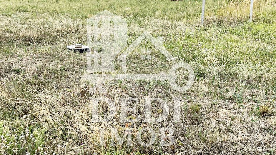 Teren 500 mp de vanzare in Paleu, Bihor - Poză 2