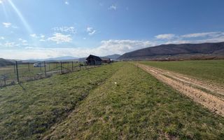 Teren intravilan |1000 MP | Poplaca - Poză 6