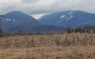 Teren extravilan de vanzare - Arpasul de Sus - Poză 3