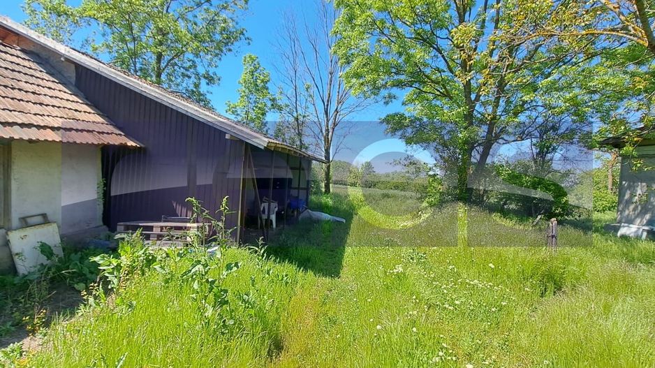 CASA TARANEASCA | TEREN 3000 MP | DESCHIDERE 52 M | COMUNA CIOLANESTI - Poză 6