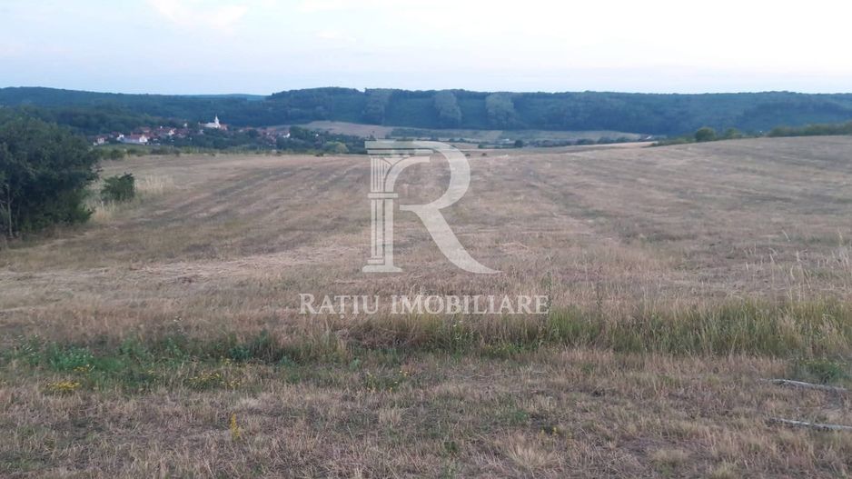 Teren extravilan | Betfia | 9664 Mp | Bihor - Poză 2