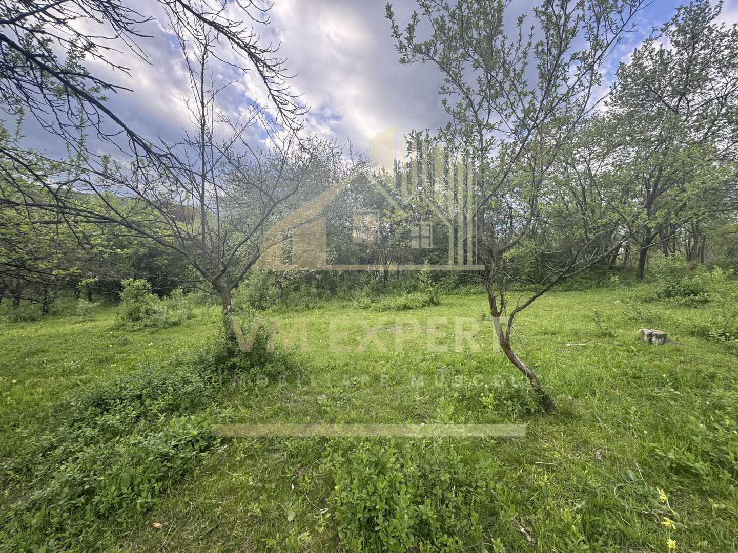 TEREN INTRAVILAN 7018 MP CAMPULUNG - Poză 19