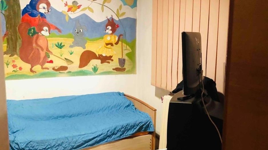 Dambovita | 3 Camere | Etaj Intermediar | Centrala Proprie. - Poză 9