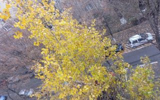 De inchiriat garsoniera 45mp, Monitorul Oficial/13 Septembrie - Poză 10