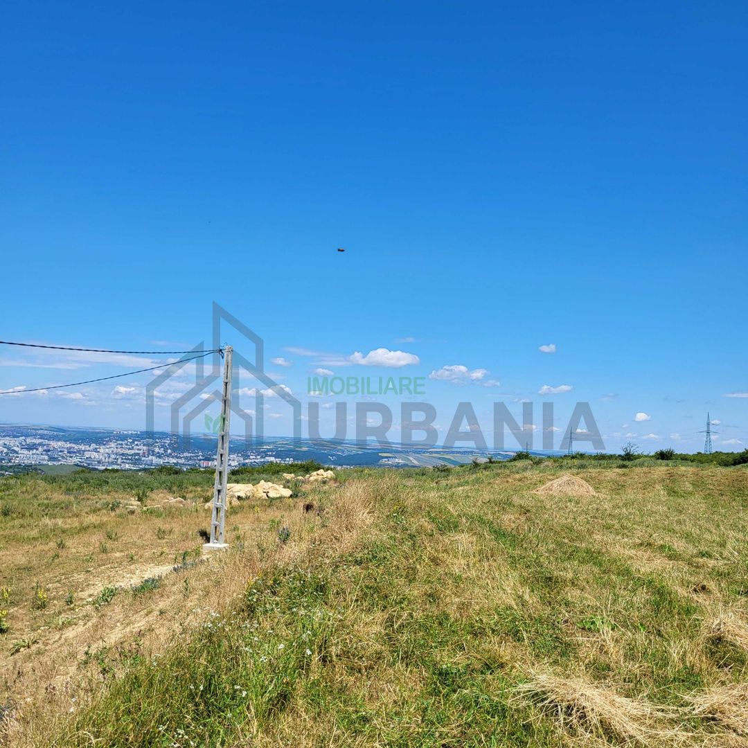 Teren intravilan de vânzare în satul Păun, comuna Bârnova – loturi de 1.000 mp și 870 mp - Poză 6