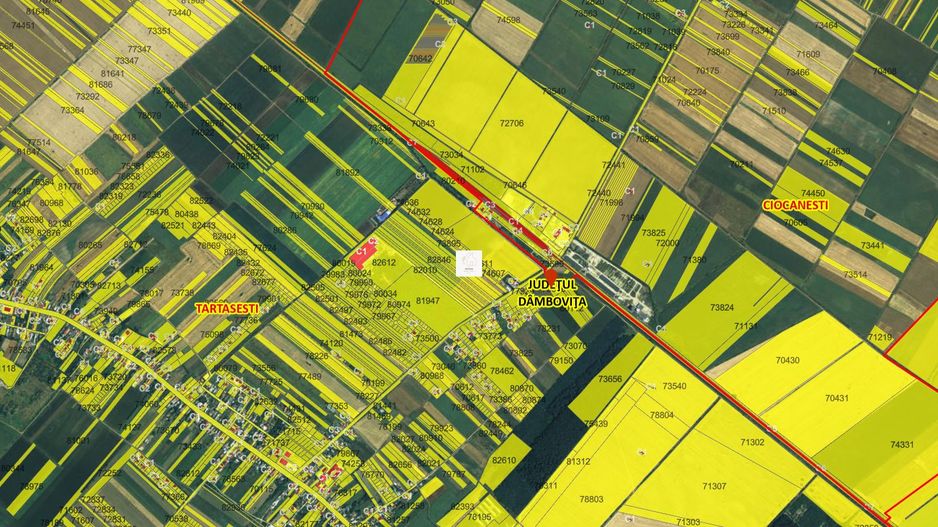 Teren extravilan agricol Tartasesti - Poză 2